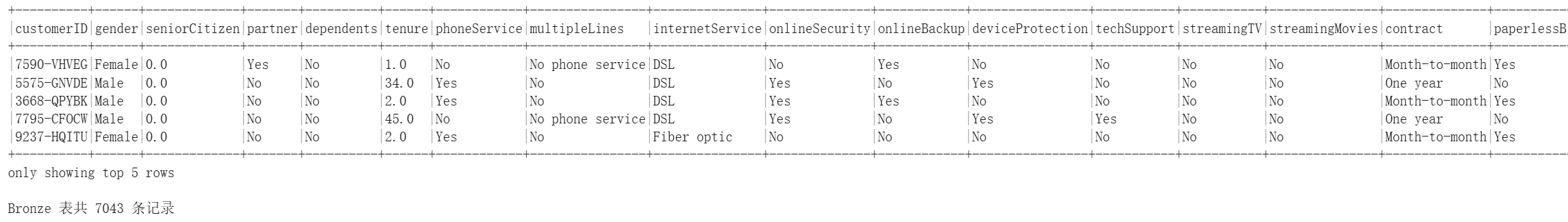 Bronze 表的前 5 行预览与总记录数 7,043
