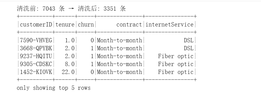 Silver 表清洗前后对比与前 5 行预览